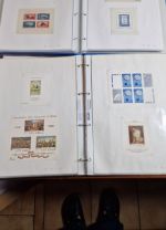 Rumänien  Blocksammlung ab nr. 1    viele bessere dabei