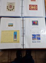 Rumänien  Blocksammlung ab nr. 1    viele bessere dabei