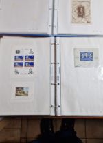 Rumänien  Blocksammlung ab nr. 1    viele bessere dabei