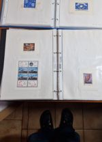 Rumänien  Blocksammlung ab nr. 1    viele bessere dabei