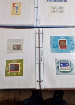 Rumänien  Blocksammlung ab nr. 1    viele bessere dabei