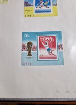 Rumänien  Blocksammlung ab nr. 1    viele bessere dabei