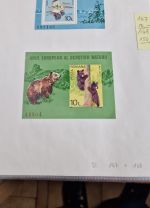 Rumänien  Blocksammlung ab nr. 1    viele bessere dabei