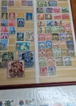 Europa - Karton   in Großen Alben