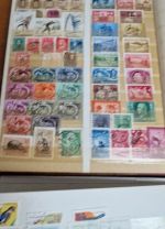 Europa - Karton   in Großen Alben