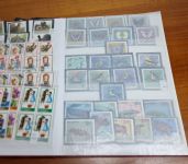 Europa - Karton   in Großen Alben