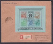 Wittenberg-Lutherstadt, Mich.-Nr.: Block II gest.  auf Brief  Triebes - Zeulenroda