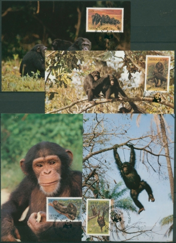 Sierra Leone 1983 WWF Affen 713/16 Maximumkarten (X30632)