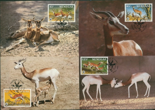 Senegal 1986 WWF Damagazelle 875/78 Maximumkarten (X30638)