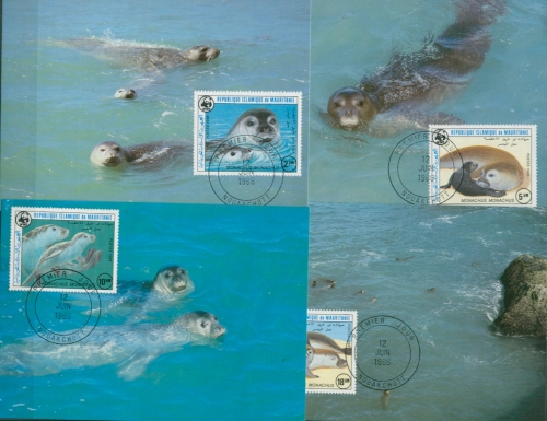 Mauretanien 1986 WWF Mittelmeer-Mönchsrobbe 871/74 Maximumkarten (X30640)