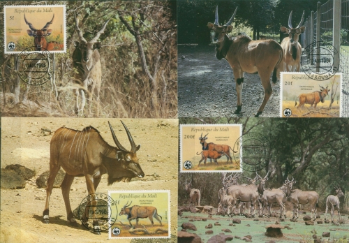 Mali 1986 WWF Antilope Waldelen 1078/81 Maximumkarten postfrisch (X30645)