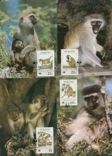 St. Kitts 1986 WWF Meerkatzen 184/87 Maximumkarten (X30647)