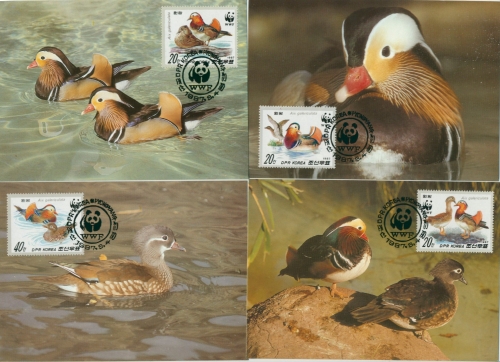 Korea (Nord) 1987 WWF: Mandarinente 2865/68 Maximumkarten (X30674)