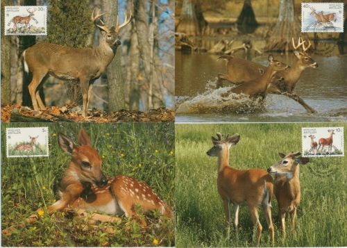 Niederländische Antillen 1992 WWF: Weißwedelhirsch 739/42 Maximumkarten (X30697)