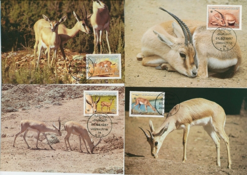 Libyen 1987 WWF Naturschutz Dünengazelle 1753/56 Maximumkarten (X30716)