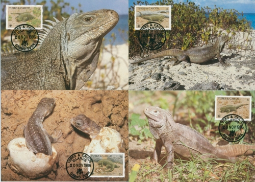 Turks- und Caicos-Inseln 1986 WWF Reptilien 777/80 Maximumkarten (X30718)