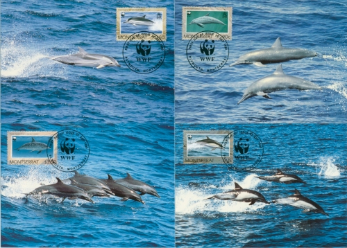 Montserrat 1990 WWF Delphine 786/89 Maximumkarten (X30720)
