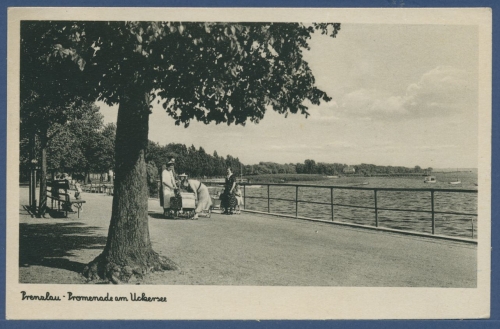 Prenzlau Promenade am Uckersee, gelaufen 1943 (AK1816)