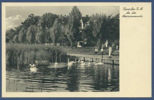 Prenzlau An der Seepromenade, ungebraucht (AK1811)