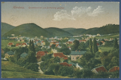 Bad Harzburg Gesamtansicht vom Butterberggesehen, beschrieben (AK2259)