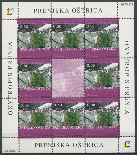 Bosnien-Herzegowina (Kroat. Post) 2003 Blumen 110 K postfrisch (C90244)
