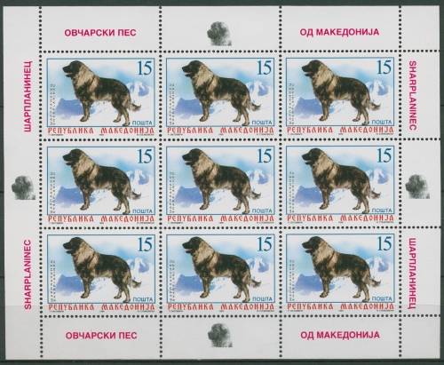 Makedonien 1999 Tiere Makedonisch. Hütehund Kleinbogen 150 K postfrisch (C92344)