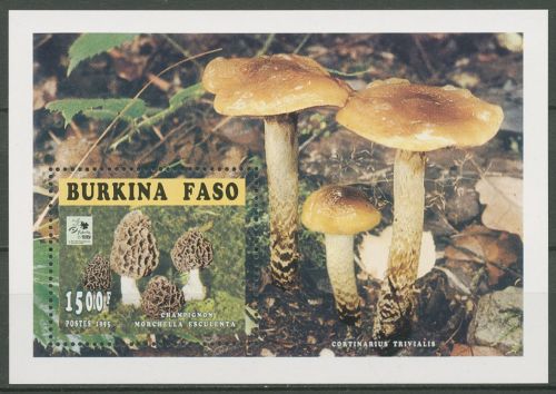 Burkina Faso 1996 Pfadfindertreffen Pilze Block 160 A postfrisch (C23709)