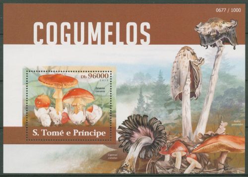 Sao Tomé und Príncipe 2015 Pilze Block 1114 postfrisch (C42757)