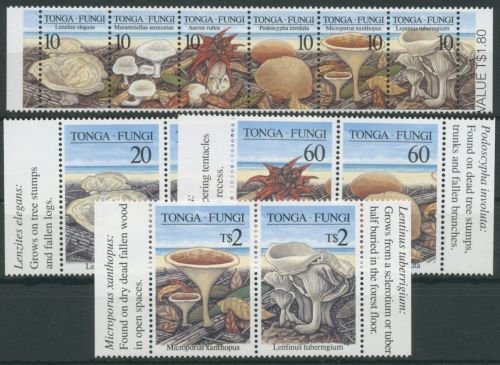 Tonga 1997 Pilze Sechserstreifen und 3 Paare 1494/05 ZD postfrisch (C26879)