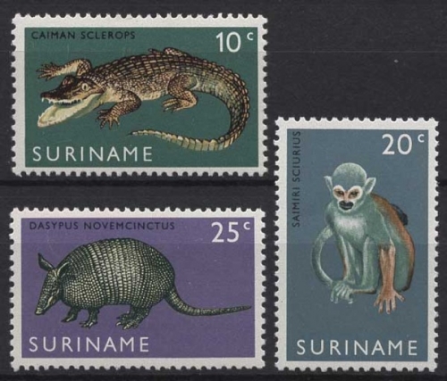 Surinam 1969 Tierpark Paramaribo Krokokdil Affe Gürteltier 558/60 postfrisch