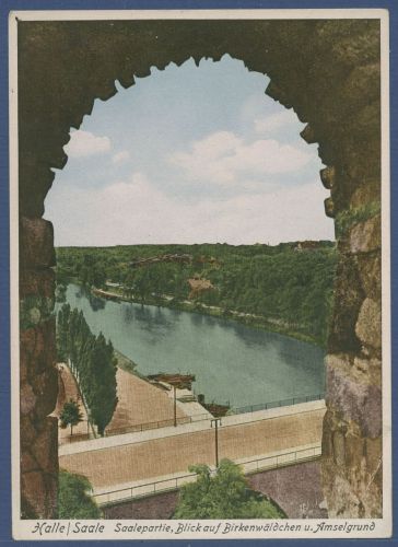 Halle an der Saale Saalepartie Blick auf den Amselgrund, ungebraucht (AK5860)