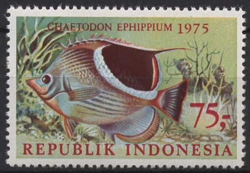 Indonesien 1975 Tiere Meeresfische 828 postfrisch