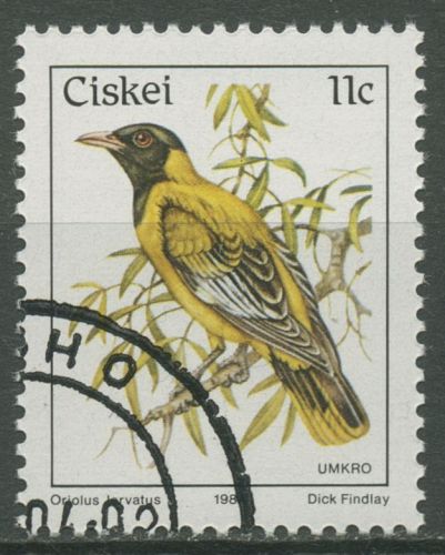 Ciskei 1984 Vögel Schwarzkopfpirol 56 gestempelt