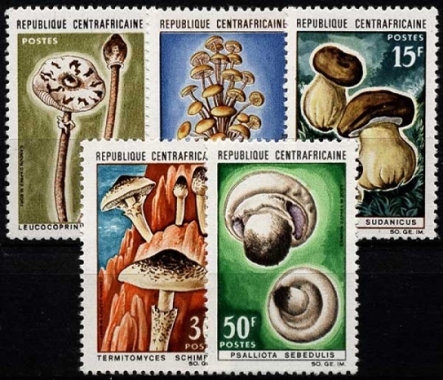 Zentralafrikanische Republik 1967 Einheimische Pilze 132/36 postfrisch