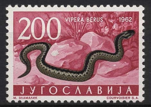 Jugoslawien 1962 Tiere Kreuzotter 1015 postfrisch