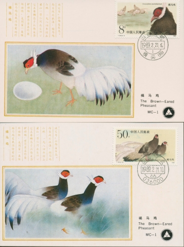 China 1989 Brauner Ohrfasan Maximumkarten 2223/24 MK (X18214)