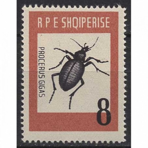 Albanien 1963 Tiere Insekten Riesen-Laubkäfer 737 postfrisch