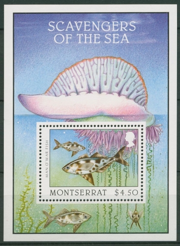 Montserrat 1996 Meerestiere Fische Quallenfisch Block 72 postfrisch (C94119)