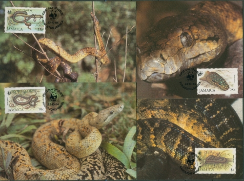 Jamaika 1984 WWF Schlangen Boa Maximumkarten 591/94 MK gestempelt (X94238)