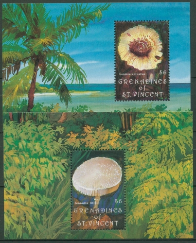 St. Vincent-Grenadinen 1992 Pilze Block 105/06 postfrisch (C94654)
