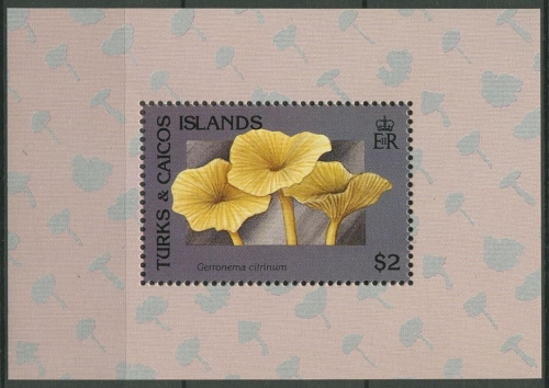 Turks- und Caicos-Inseln 1991 Pilze Block 105 postfrisch (C94671)
