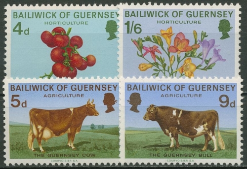 Guernsey 1970 Landwirtschaft Kühe Tomaten Blumen 31/34 postfrisch