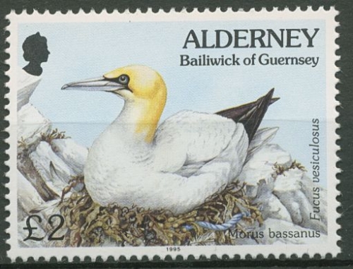 Alderney 1995 Natur Tiere Vögel Basstölpel 82 postfrisch