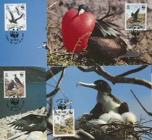 Ascension 1990 WWF Tiere 521/24 Maximumkarten (R4616)