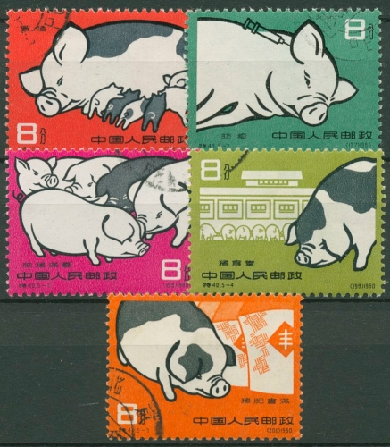 China 1960 Entwicklung der Schweinezucht 546/50 gestempelt