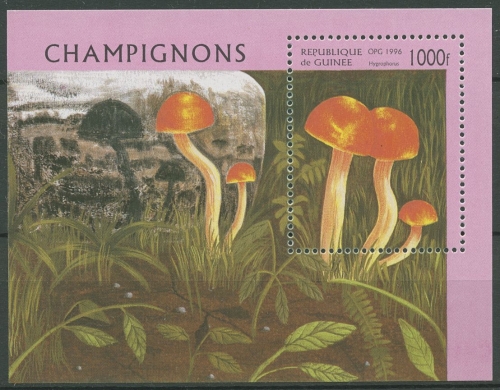 Guinea 1996 Pilze Schneckling Block 505 postfrisch (C28986)