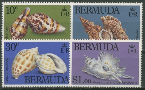 Bermuda-Inseln 1982 Meeresschnecken 408/11 postfrisch