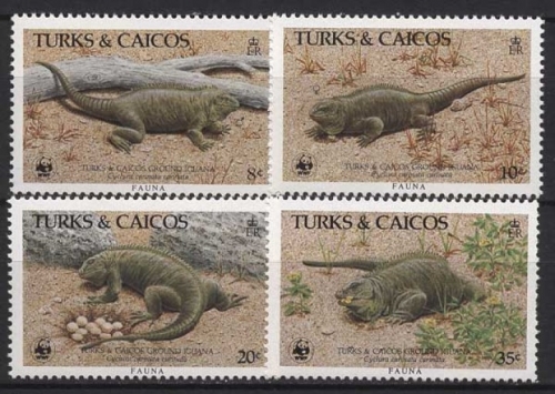 Turks- und Caicos-Inseln 1986 WWF Tiere Reptilien Leguan 777/80 postfrisch