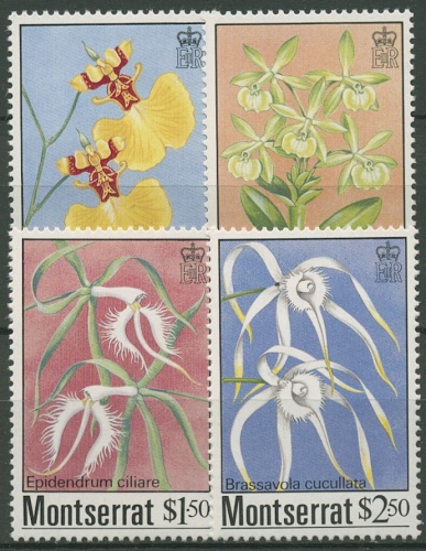 Montserrat 1985 Pflanzen Blumen Orchideen 568/71 postfrisch