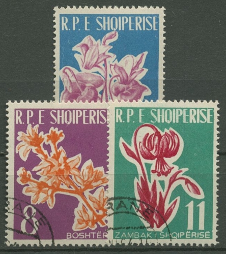 Albanien 1961 Blumen 633/35 gestempelt